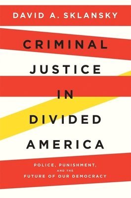 bokomslag Criminal Justice in Divided America