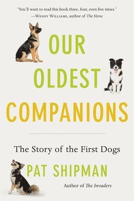 Pat Shipman - Our Oldest Companions, Häftad