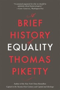bokomslag A Brief History of Equality