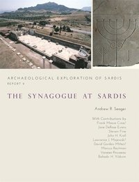 bokomslag The Synagogue at Sardis