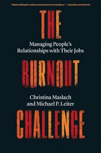 bokomslag The Burnout Challenge