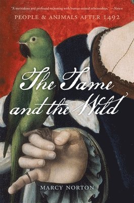 Marcy Norton - The Tame and the Wild, Häftad