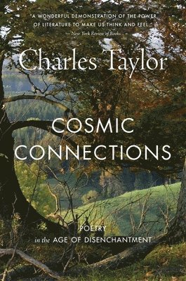 bokomslag Cosmic Connections