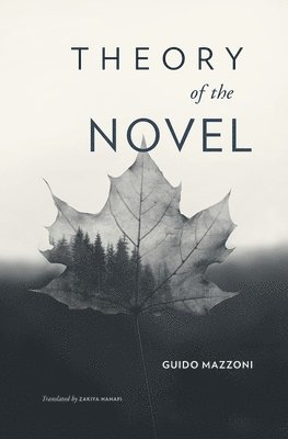 Theory of the Novel 1