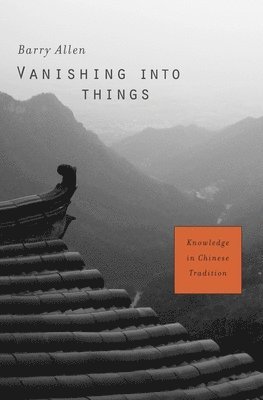 Vanishing into Things