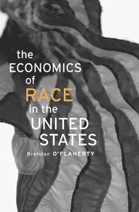 bokomslag The Economics of Race in the United States