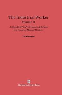 bokomslag The Industrial Worker: A Statistical Study of Human Relations in a Group of Manual Workers, Volume II