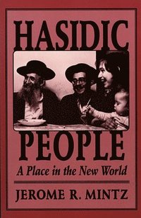 bokomslag Hasidic People