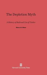 bokomslag The Depletion Myth