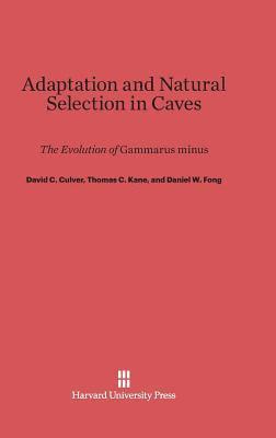 bokomslag Adaptation and Natural Selection in Caves