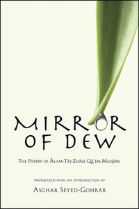 bokomslag Mirror of Dew