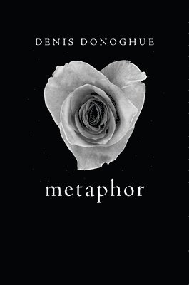 Metaphor 1