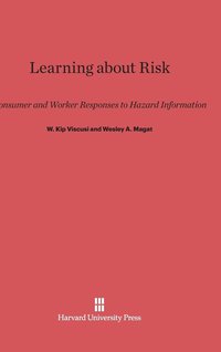 bokomslag Learning about Risk