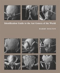 bokomslag Identification Guide to the Ant Genera of the World