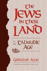 bokomslag The Jews in Their Land in the Talmudic Age
