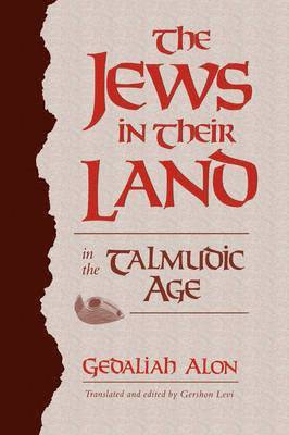 bokomslag Jews in Their Land in the Talmudic Age