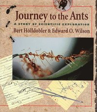 bokomslag Journey to the Ants