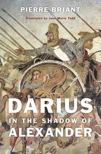 bokomslag Darius in the Shadow of Alexander