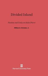 bokomslag Divided Island