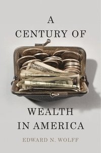 bokomslag A Century of Wealth in America