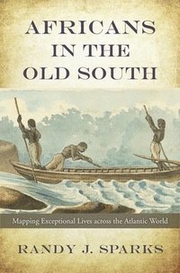 bokomslag Africans in the Old South
