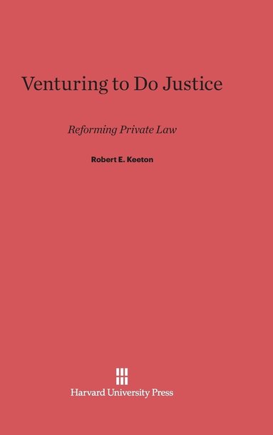 bokomslag Venturing to Do Justice