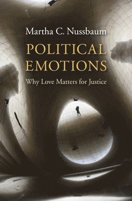 Political Emotions 1