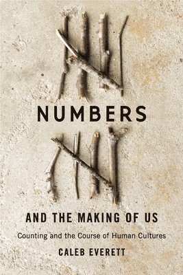 bokomslag Numbers and the Making of Us