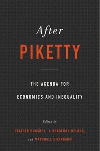 bokomslag After Piketty