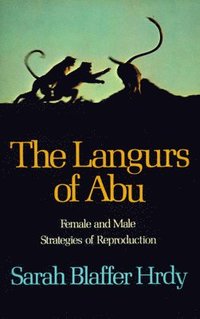 bokomslag The Langurs of Abu