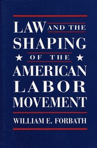 bokomslag Law and the Shaping of the American Labor Movement