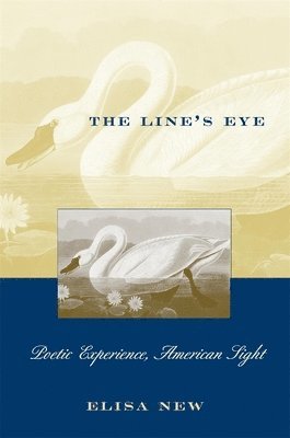 Elisa New - Line’s Eye, Häftad