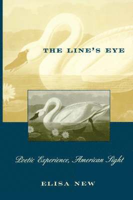 Line's Eye 1