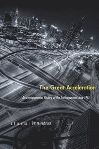 bokomslag The Great Acceleration