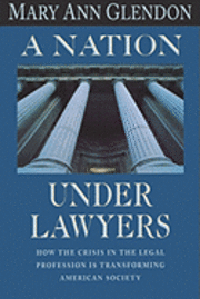 bokomslag Nation Under Lawyers
