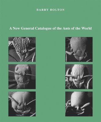 bokomslag A New General Catalogue of the Ants of the World