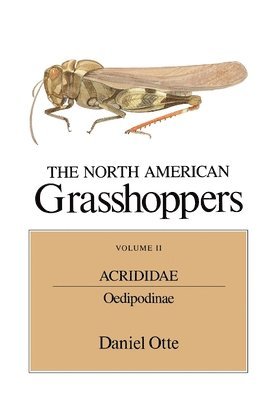 Acrididae