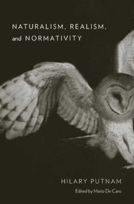 bokomslag Naturalism, Realism, and Normativity