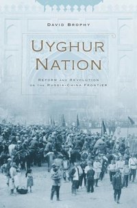 bokomslag Uyghur Nation