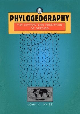 bokomslag Phylogeography