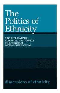 bokomslag The Politics of Ethnicity