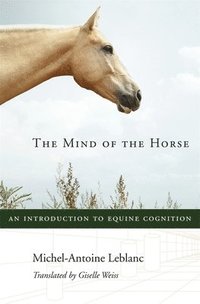 bokomslag The Mind of the Horse