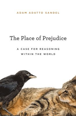 Adam Adatto Sandel, Sandel - Place of Prejudice, Inbunden