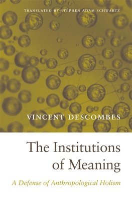 Vincent Descombes - Institutions of Meaning, Inbunden