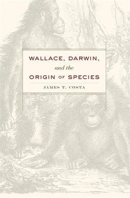 bokomslag Wallace, Darwin, and the Origin of Species