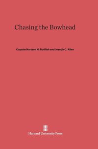 bokomslag Chasing the Bowhead