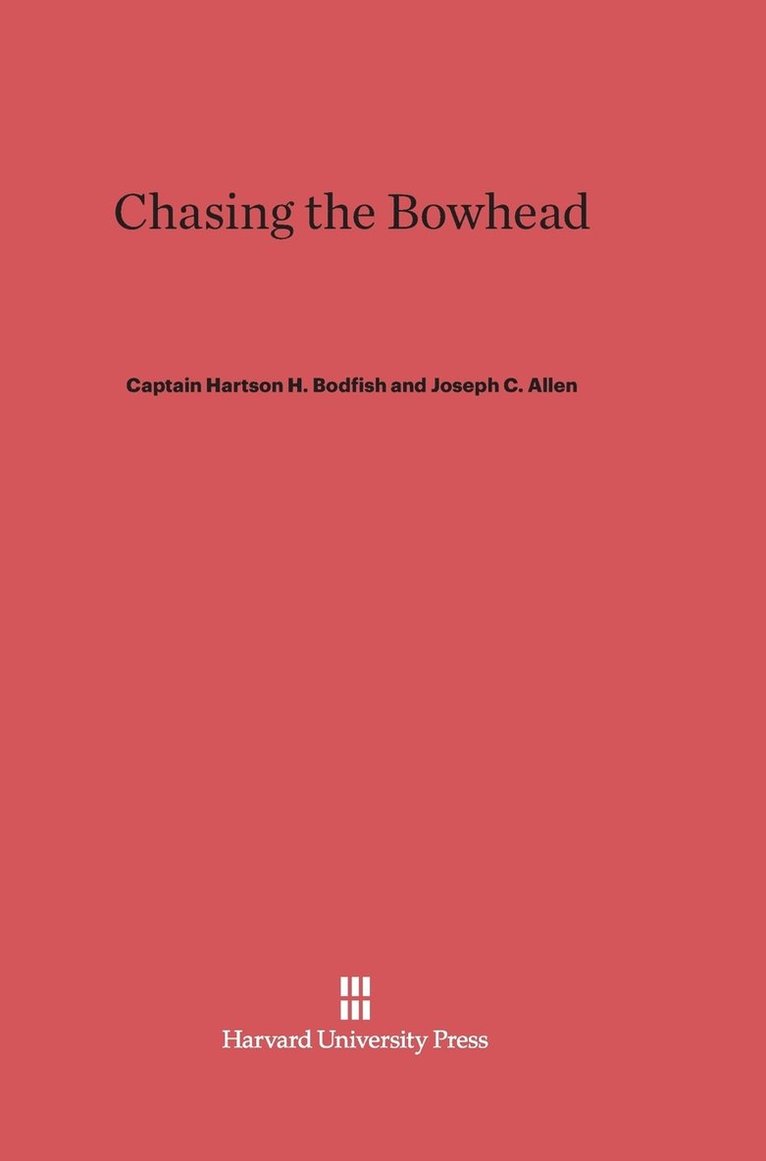 Chasing the Bowhead 1