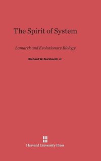 bokomslag The Spirit of System