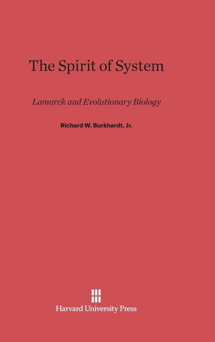 The Spirit of System 1