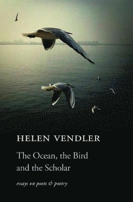 The Ocean, the Bird, and the Scholar 1